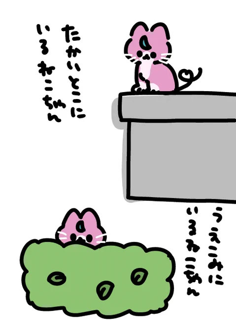 🐱 