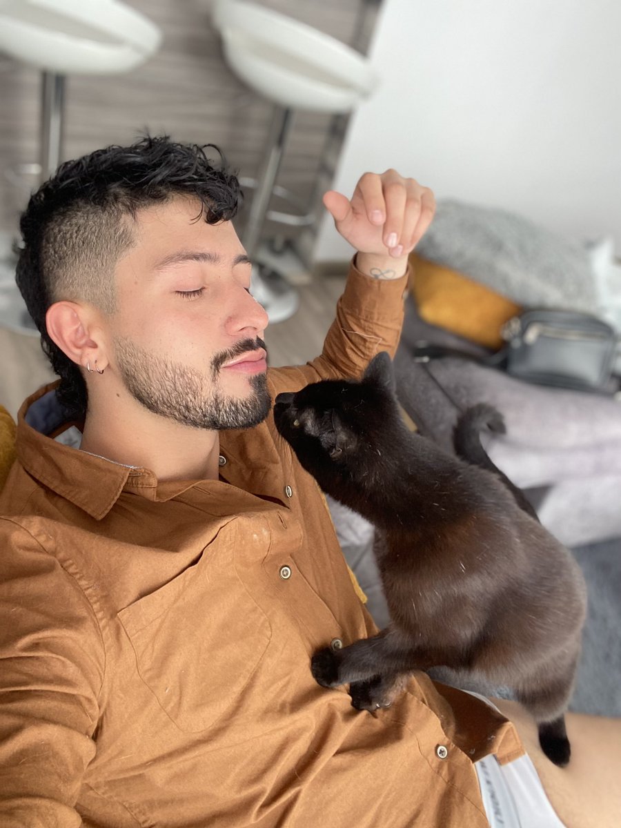 vmtrujillo08's tweet photo. Te amo 🐈‍⬛ https://t.co/12J2ZSucqK