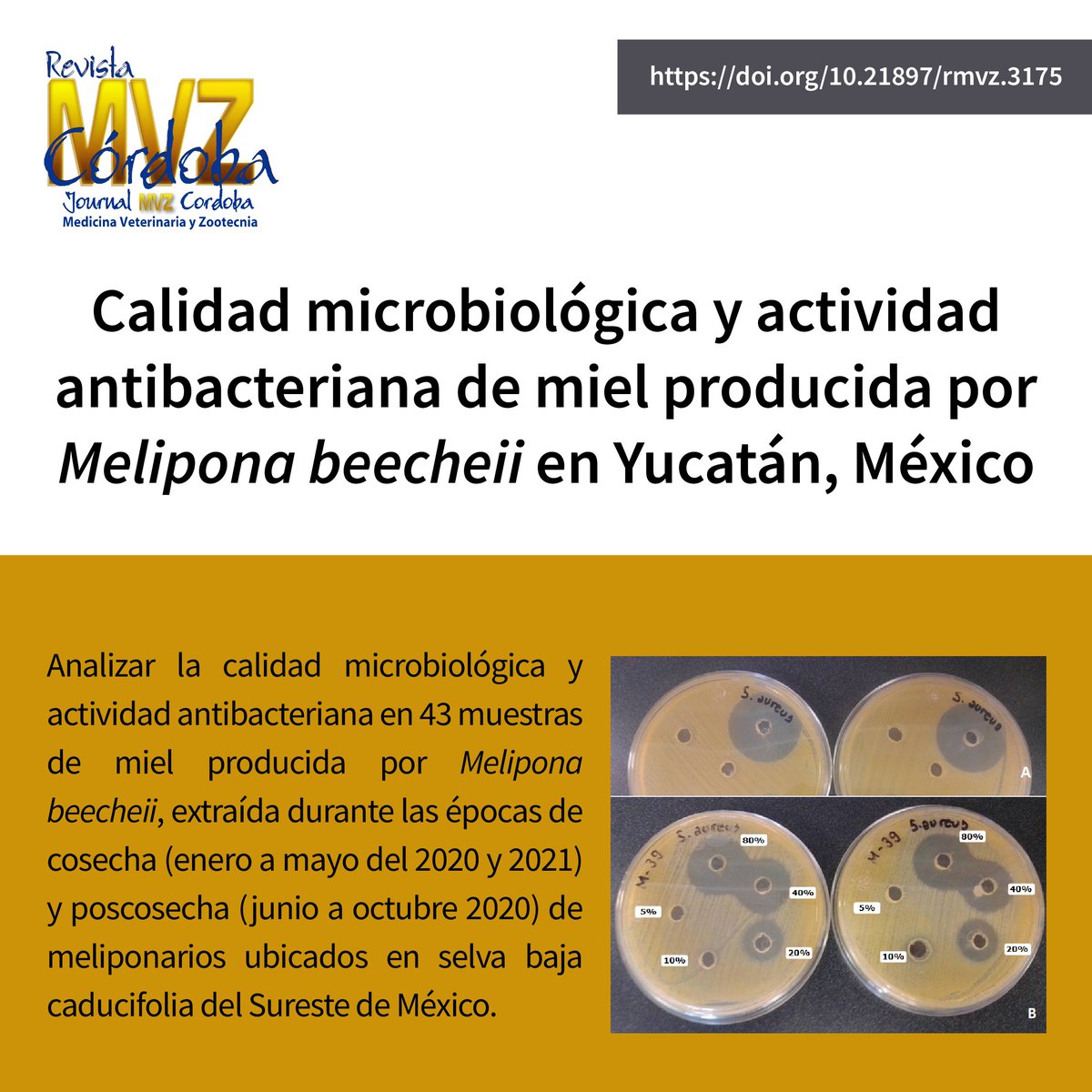 revmvz's tweet photo. https://t.co/ljk35tk1pj
#Melipona #mesófilos #coliformes #levaduras https://t.co/TOWxI5g0L9