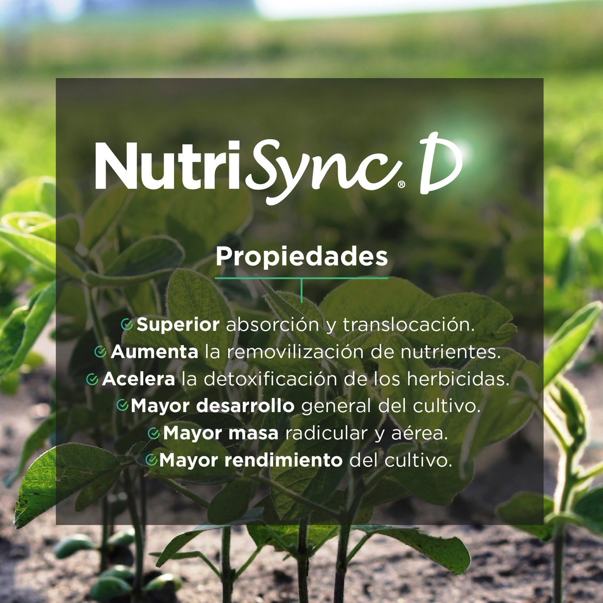 📷NutriSync D es ¡nutrición en movimiento!
📷 Aumenta la removilización de nutrientes y así, lográ un mayor desarrollo general del cultivo.
¡Nuestros consultores técnicos 📷📷 están esperando tu consulta para asesorarte de la mejor manera!
.
#MásNutrienParaVos