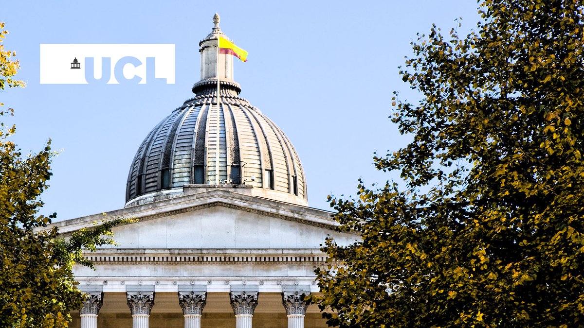 Lorenzo Pasculli-Gray 💙🌈 tweet media