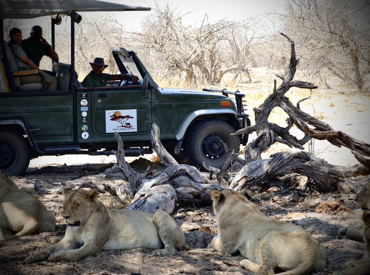 Life of a Professional Safari Guide