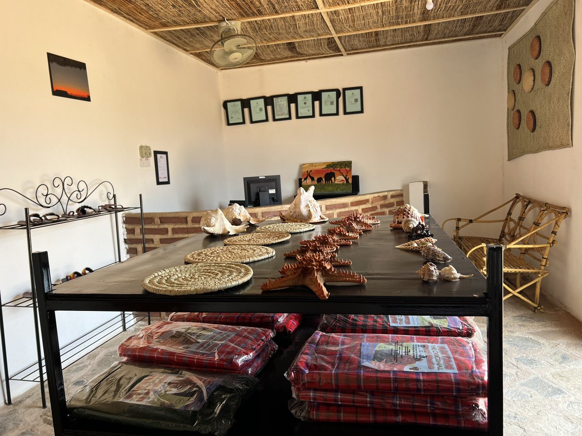 pridelandsafari's tweet photo. Curio Shop @ Pride Lands Safari-Doma. If you are travelling to Iringa or from Iringa, there Pride Lands Safari Curio Shop @ Doma to get Gifts for your Loved ones. Call us via +255767781171/+255738881881
#pridelandssafari
#curioshop
#gamedrive
#hiking
#sportfishing https://t.co/KNbQ7bW5vf