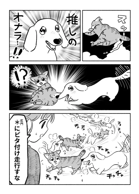 本日スカシバレがありました 