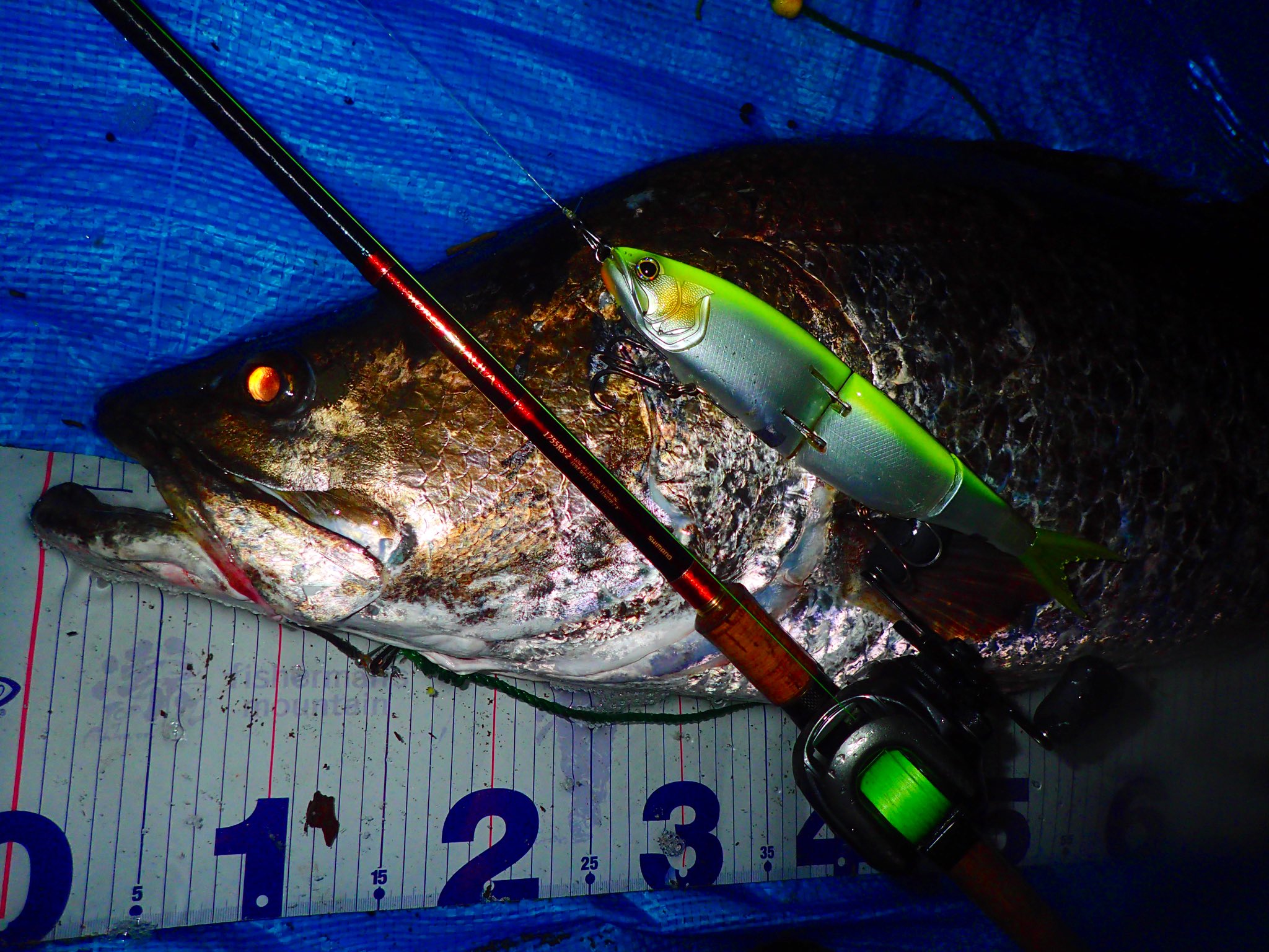 シマノ SHIMANO アーマージョイント 280SF フラッシュブースト Color:007 パールチャート_Size:280mm シマノ EXS  アーマジョイント 280F/FB XL-X28W #007パールチャート 全7色】シマノ アーマジョイント 280F フラッシュブースト SHIMANO  - 【バス・トラウト・ソルトの ... シマノ SHIMANO アーマージョイント 280SF フラッシュブースト