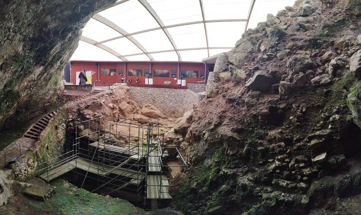 Irene SM tweet media