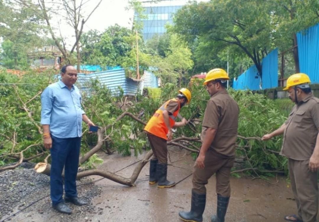 Tree Fall At Wagle Estate Thane, Jhaad Girne Se 1 Shaks Injured Hua

Read Full News: bit.ly/3ZkqIGM

#dailynews #injured #Mumbai #mumbainews #thane #Tree #wagleestate