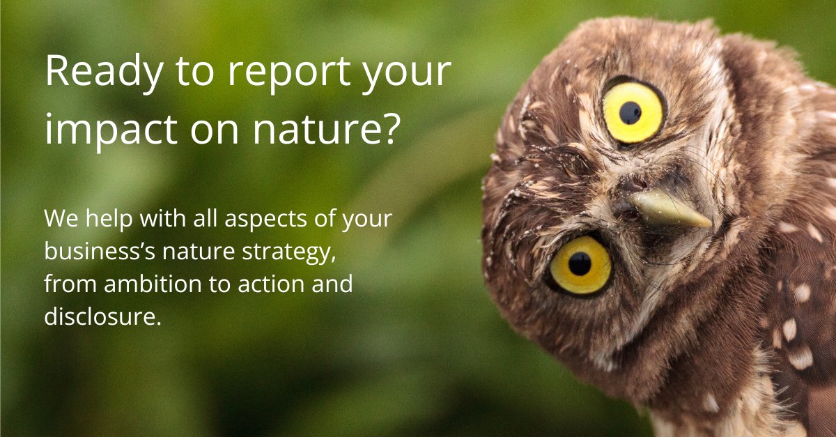 Today, to mark #ClimateWeekNYC, and because nature and climate are inextricably interlinked, we're launching a new service for businesses starting out on their 1st nature strategy. 

Find out more: 
thebiodiversityconsultancy.com/our-work/what-…

#biodiversity #naturepositive