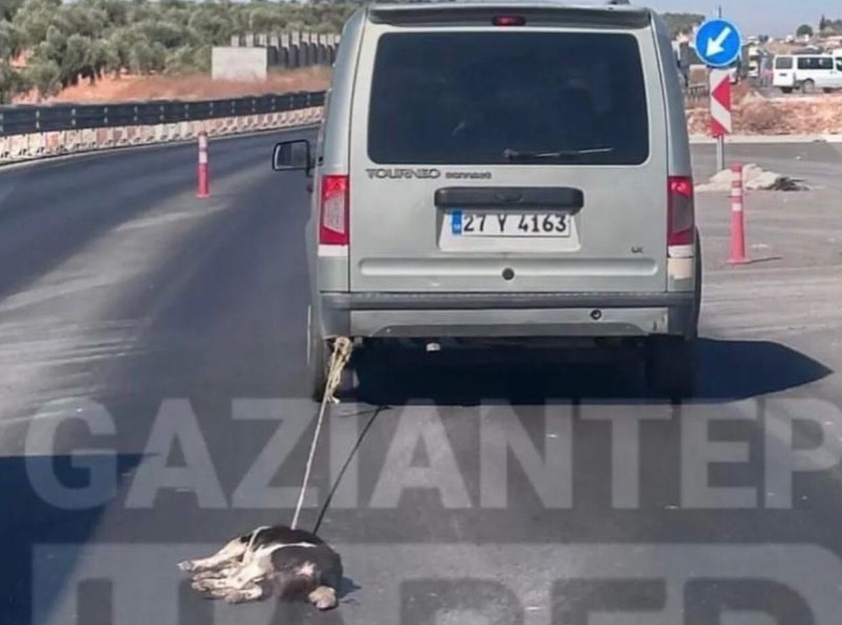 Şeref yoksununun plakası herkes şikayetini yapsın! Bu aşağılık yakalansın !