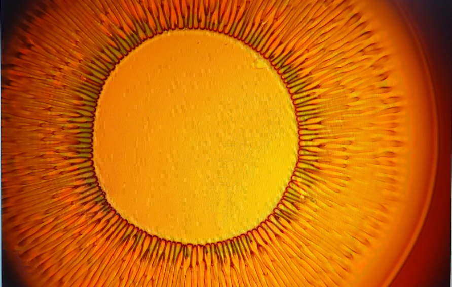 Physics_at_IISc's tweet image. &apos;Elegant Failed Experiment&apos; (winner 1st place) - submission by Abhishek Jangid for the #ArtofScience contest.
@iiscbangalore, @PDA_Physics, #AoS2023, #artinscience, #scienceandart