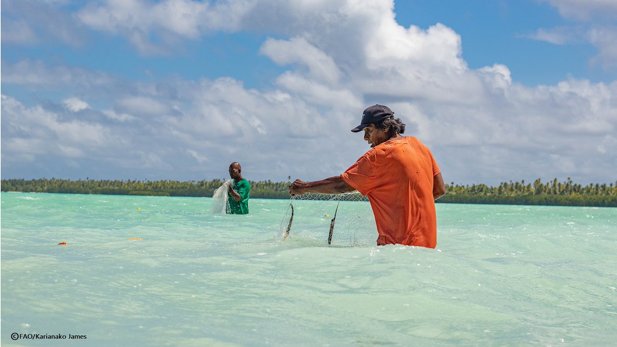 Want to know how Pacific Islanders are using tech and innovation to improve their nutrition and health? @FAO and @WorldFishCenter report explains 👉 bit.ly/44X0POF #PacificSIDS #AquaticFoods #AgInnovation