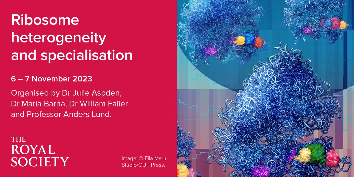 RSocPublishing's tweet photo. Do you have a research interest in ribosome heterogeneity and #mRNA? Join our upcoming scientific meeting at the Royal Society in London: https://t.co/VHKA4J9JBS https://t.co/jO9ouaZowU