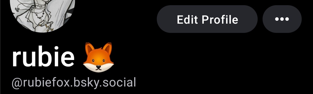 rubiefox_'s tweet photo. I have also joined the bsky crowd now, since I'm barely using twitter anymore anyway

feel free to follow ♡♡ https://t.co/uQ1FerorD3