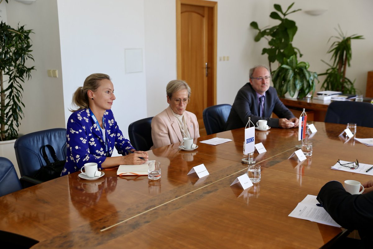 Today, meeting Ingibjörg Sólrún Gísladóttir, Head of the OSCE/ODIHR Election Assessment Mission to 🇸🇰,  I acknowledged ODIHR´s crucial role in election observation and expressed full support to its methodology as international gold standard.