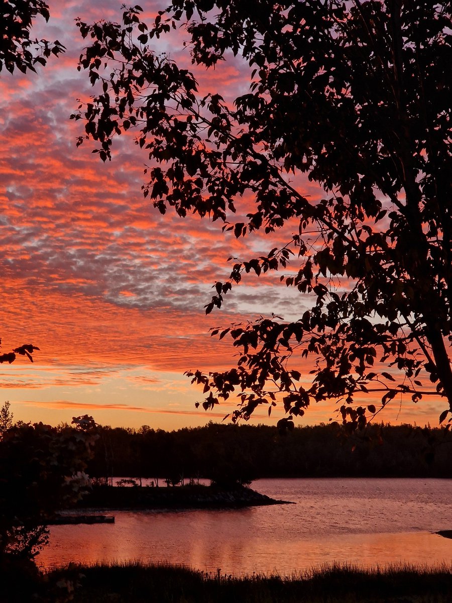 This morning's view from the porch. #Antigonish #NovaScotia