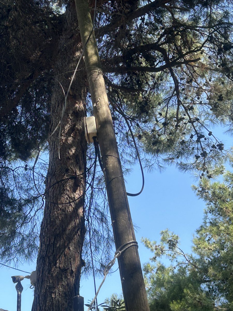 #değersizhissettirir <a href="/TurkTelekom/">Türk Telekom</a> <a href="/umitonaltr/">Ümit Önal</a> 2023 yılında şehir merkezinde değil fiber, mevcut hatların durumu içler acısı direkler telle bağlanıp düşmesin diye dua ediyor kablolar dersen yere eğilmiş,nasıl bir kurumsal zihniyet var nerde müşteri saygısı #muhatabımyok <a href="/TTDestek/">Türk Telekom Destek</a>