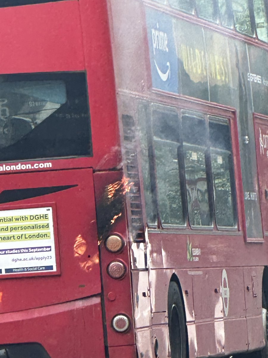 Hayley Benoit tweet media