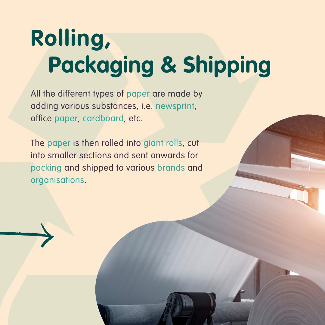 🌍♻️ It's #RecycleWeek! Did you know that over 71% of paper is #recycled in Europe? 

📜 Let's celebrate #sustainability by learning how #paper is made. 
Check out the fascinating process! 🌿📦 
bit.ly/Paper-Revoluti…

 #Recycle