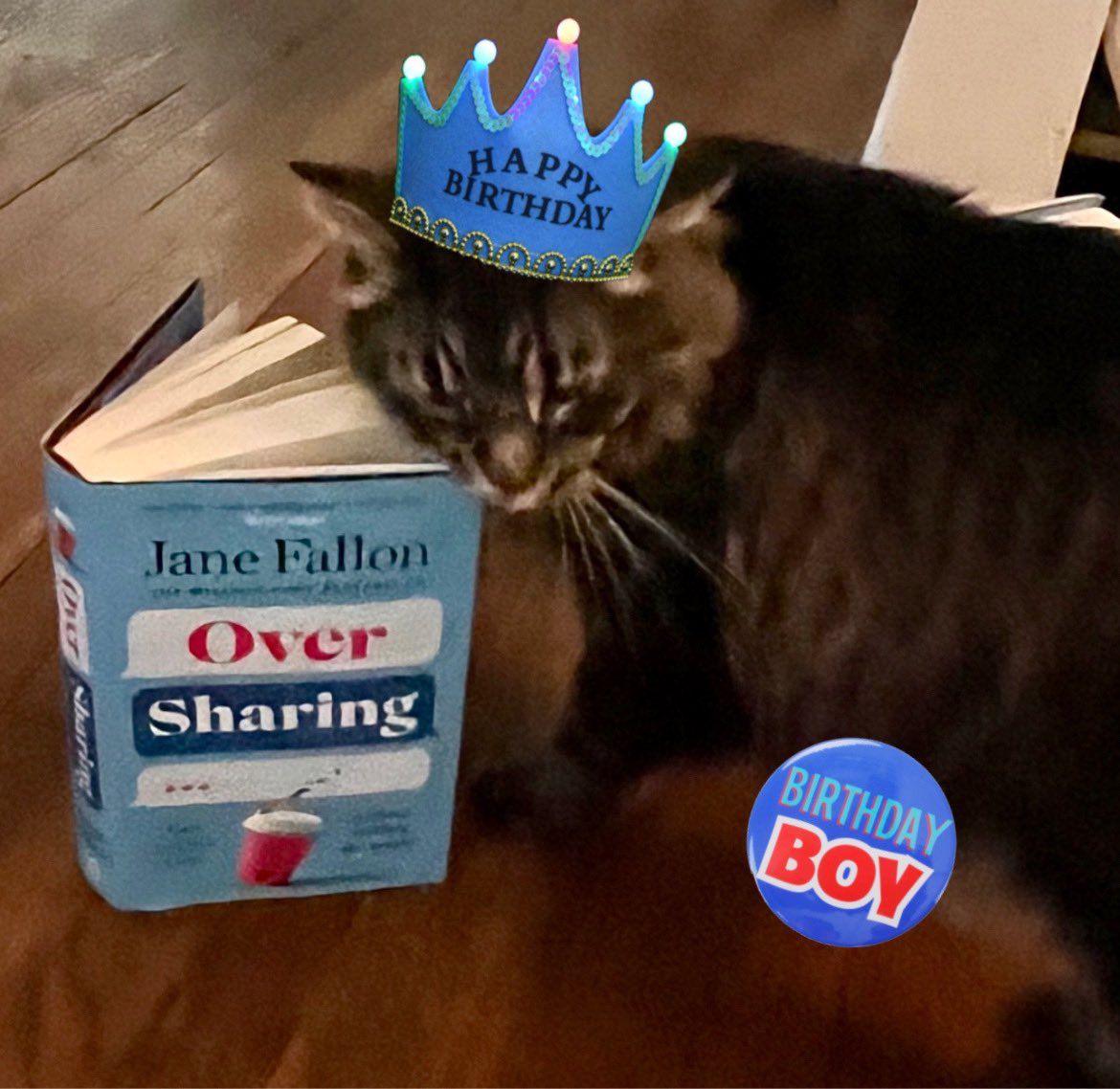 Leopold&Loveday 🐾❤️🐾 tweet media