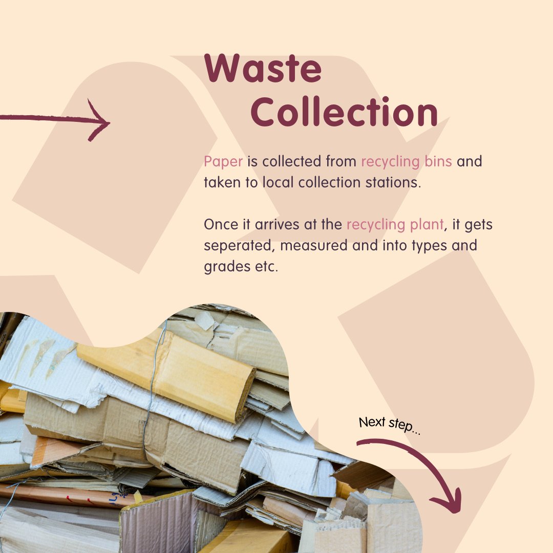 LovePaperUK's tweet photo. 🌍♻️ It's #RecycleWeek! Did you know that over 71% of paper is #recycled in Europe? 

📜 Let's celebrate #sustainability by learning how #paper is made. 
Check out the fascinating process! 🌿📦 
https://t.co/7SMQM5Xnmo

 #Recycle https://t.co/hhwwZbz3mx