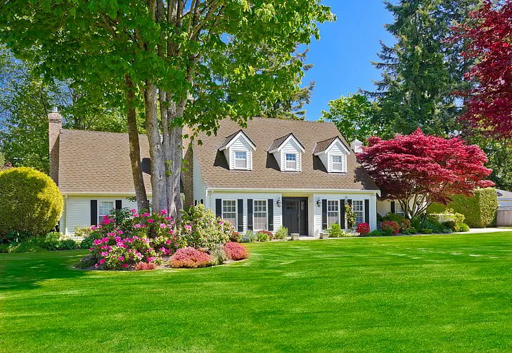 Magazine_MN's tweet photo. How Your Landscaping is Affecting Your Energy Consumption 

https://t.co/RIT0o2Fxu6 

#energyefficiency https://t.co/dKcaR4RrLo