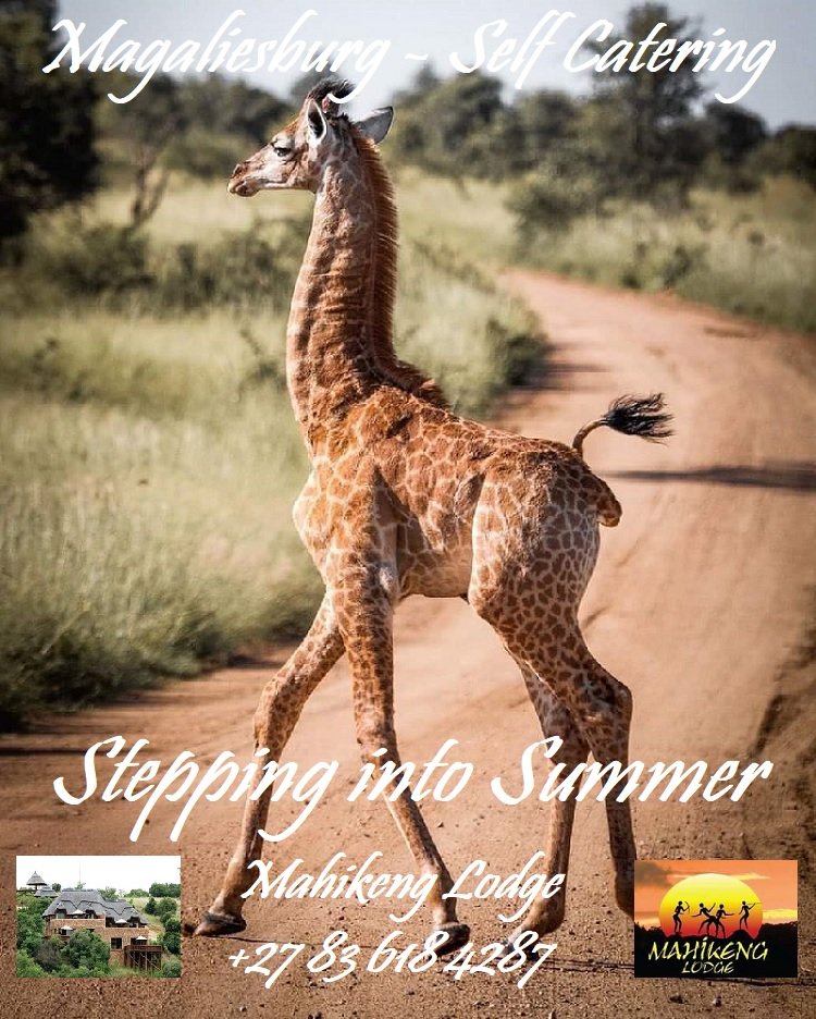 MahikengL's tweet photo. Mahikeng Lodge @MagaliesburgSA
#Hello #SteppingIntoSummer
#BushBreak #africanskies
#BestViews #WellWorthIt
#1Hour from https://t.co/Zp2gKE8sHG
WhatsApp: 083 618 4287
info@mahikeng.co.za
#WeLoveOurGame
#SelfCatering
https://t.co/0ZBSSX9wli
Part of @MagaliesMeander https://t.co/TsH6yn7Vfs