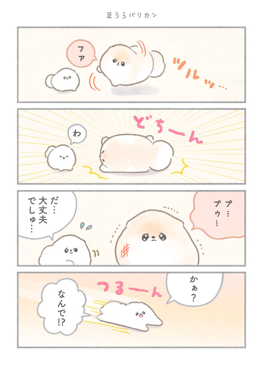 マンガ ぽぽちとぱぴち⑬ 1/2
꒰ ՞•ﻌ•՞ ꒱.。o(🐾🌀)

なんで!?

#ポメラニアン #漫画が読めるハッシュタグ 