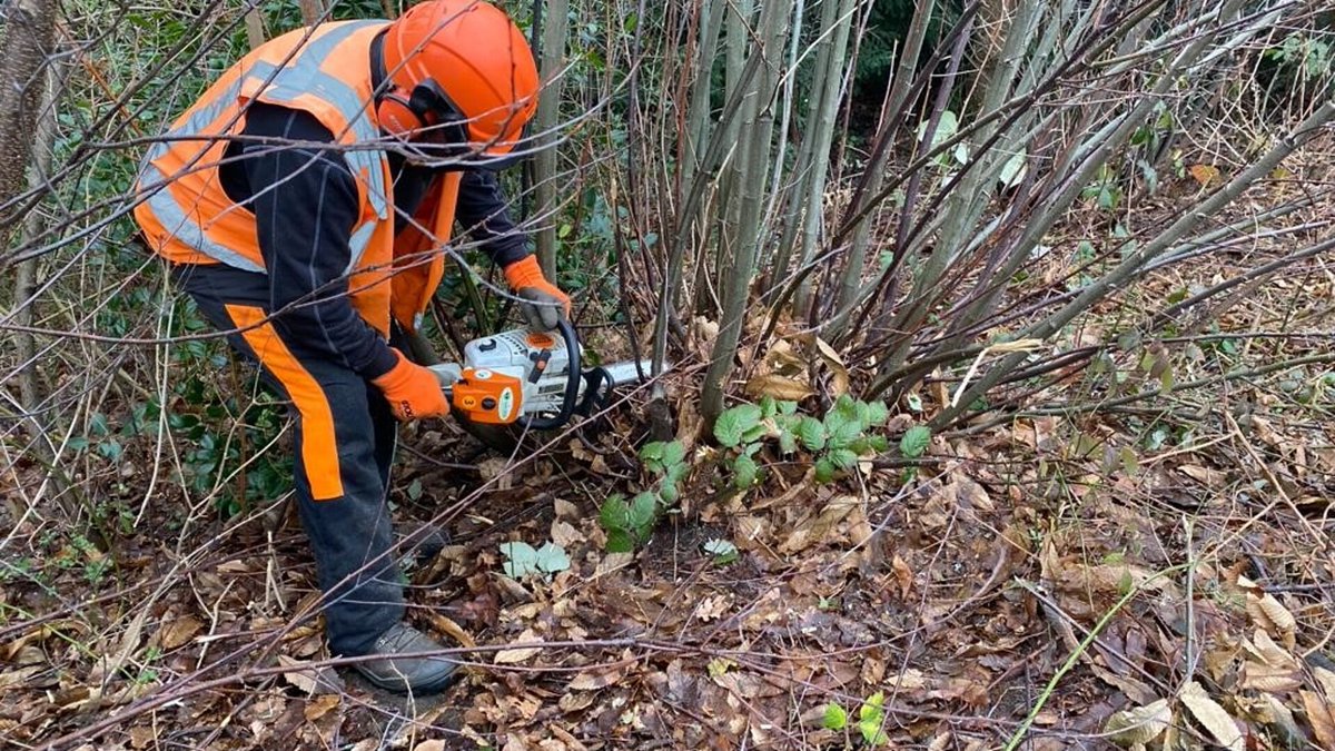 #Snoeiwerkzaamheden | Vanaf 25 september starten wij in de gemeente met diverse snoeiwerkzaamheden. Wij doen ons uiterste best om de overlast zo veel mogelijk te beperken.