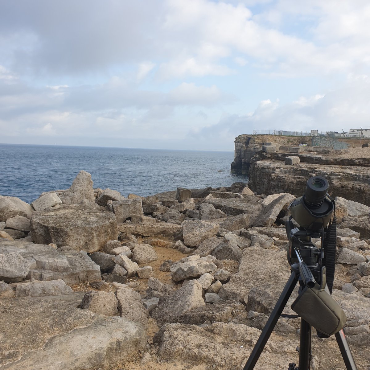 Are you a UK-based ocean birdwatcher? I'm after regular oceanwatchers to chat to about top tips & special moments for a feature. Pls DM. & v grateful as always for RTs & recs 🙏@BirdWatchingMag @DominicCouzens @DungenessBO @AlanDaviesbirds @birdering @Mboyd7Boyd #oceanwatching