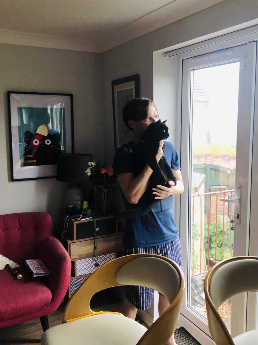 StephenWheel's tweet image. My boy Bowie. He’s just seen a Magpie and is making those cat chirping sounds. ♥️