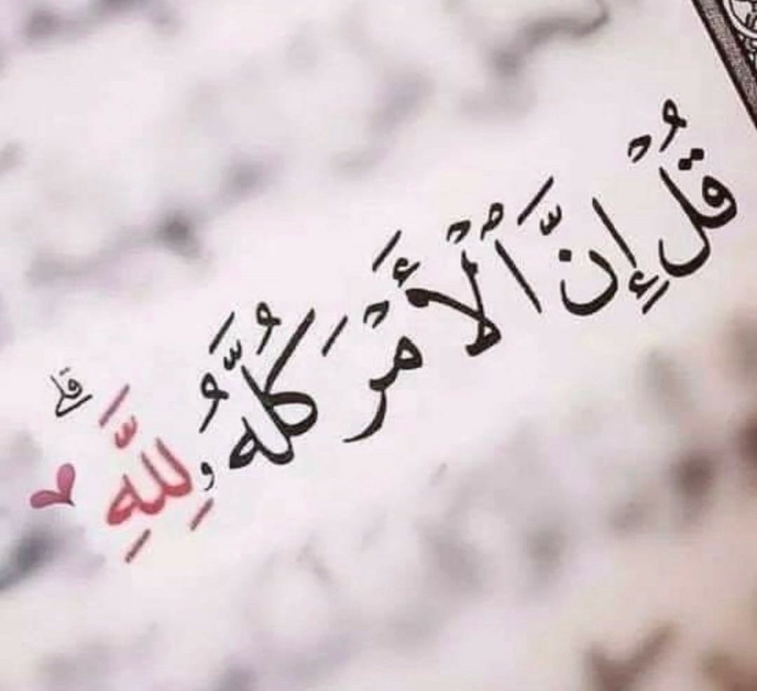 mIU1hITSe3qQ8a9's tweet photo. #ارسال_جداول_العلوميين
يالله 🙏 https://t.co/4XqRlzLQwc
