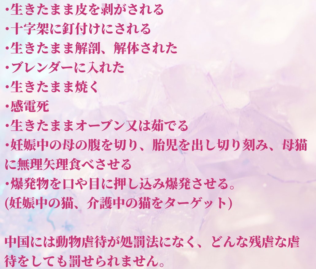 juso_sakuraneko's tweet photo. 拡散希望

一部の動画を見ましたが
残虐極まりないです💢

猫達が生きたまま
焼かれ、切り刻まれ
拷問する動画が収益の為に作られ、拡散されています。
日本でも黒ムツ達の間で
シェアされています

動物愛護に関する法律の無い中国では犯人は野放し💢
中国当局に取り締まりを求める署名です https://t.co/OCdK23dgnm