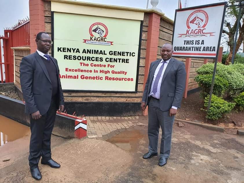 BensonKibore's tweet photo. Well done my friend &amp; CEO @KAGRC_KE  Dr David Kios. 

KAGRC has truly revolutionised the Cow &amp; Goat Artificial Insemination key to realising increased milk production. 

Your service is truly recognised and appreciated. 

@koske_felix @mithika_Linturi @jmueke @vet_unionKE https://t.co/5aETse9Wnc