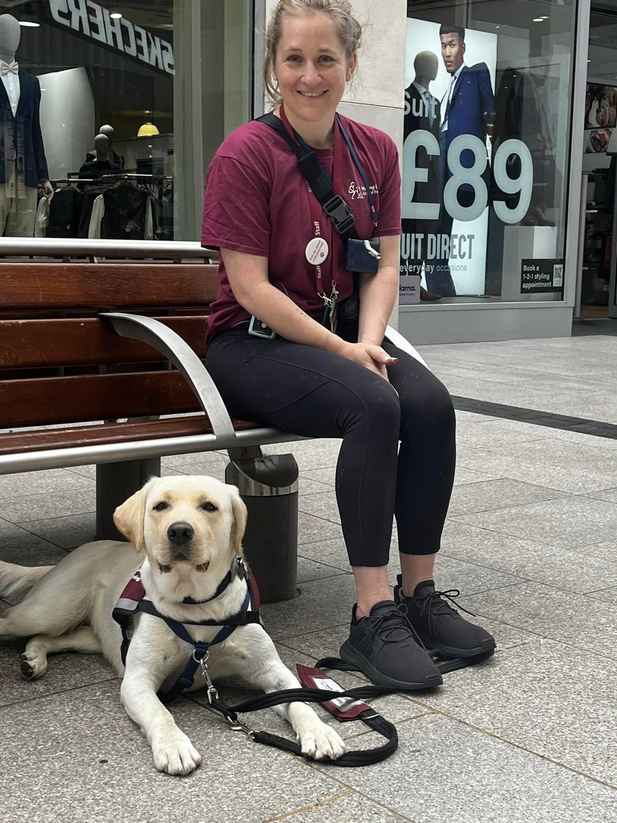 Hearing Dogs for Deaf People tweet media