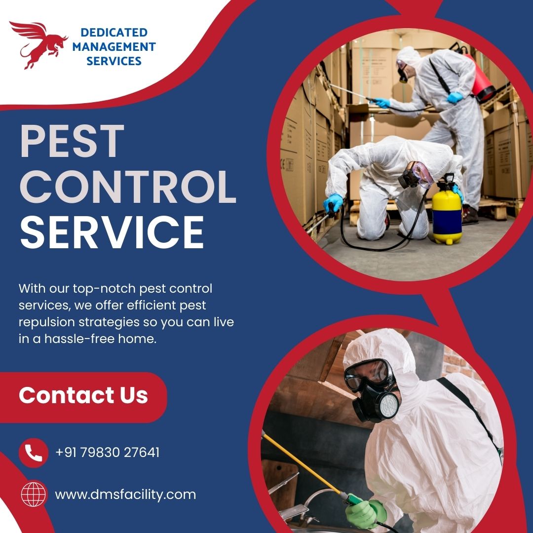 dms_facility's tweet photo. Get the Best Pest Control Services in Pune for termite treatment, rodent control, cockroach control, bed bugs, and all pests.

#pestcontrolservicepune #bestpestcontrol #pests #pestremoval #pestfree #pestmanagement #mosquito #ants #rodents #rats #termites #insects #pests https://t.co/mkf9v54tup