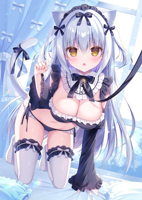 #三連休はフォロワーさんが増えるらしい
メイド猫🩵 