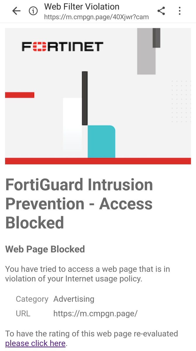 Lisa-Marie Murphy tweet media