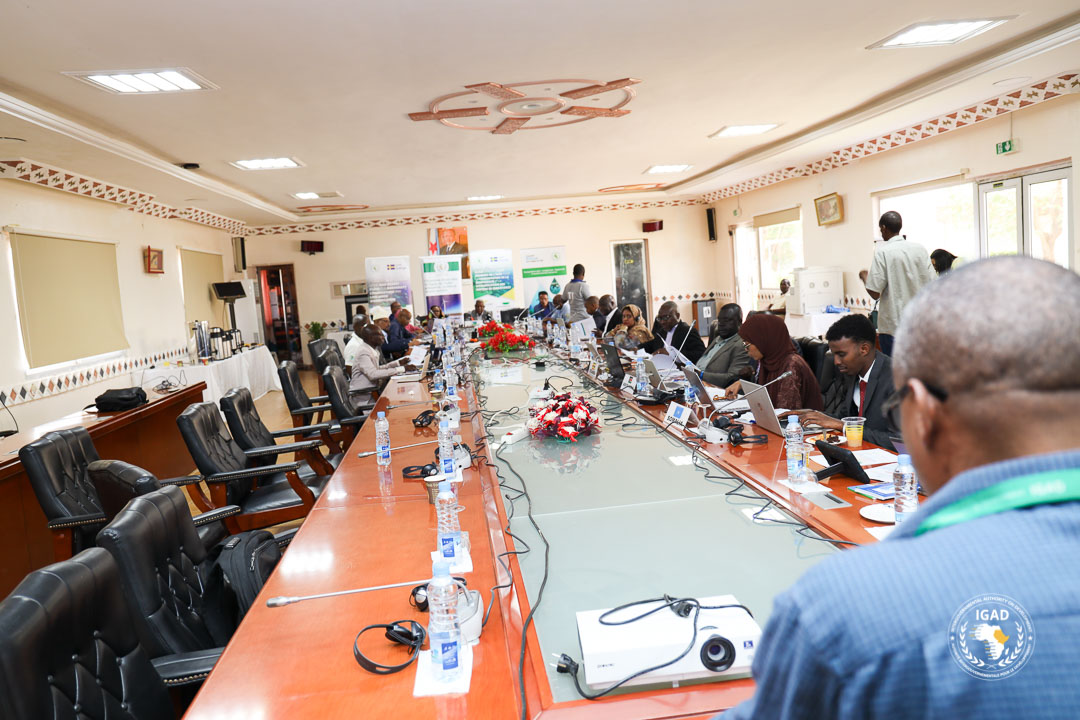 Official opening of the #IGAD Validation Workshop on the Inventory of Pollutants (Plastic and Chemical) in the IGAD Coastal Countries (Djibouti🇩🇯, Kenya🇰🇪, Somalia🇸🇴, Sudan🇸🇩). On behalf of, IGAD Director of Agriculture and environment division Daher Elmi, Dr.Eshete stated: ”…