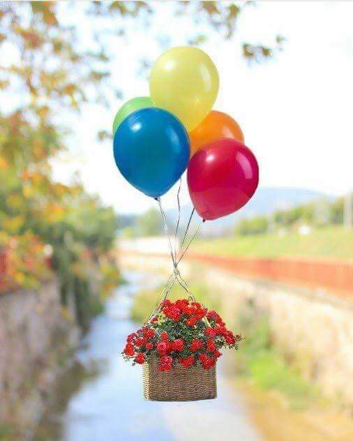Espero que hoy Dios te dé las fuerzas que necesitas, que ilumine tus pasos hacia un mejor camino. Que sane tu corazón  ❤🌻 completamente y nazca la alegría de nuevo. 
Que nunca se te olvide lo importante que tú eres para Dios y que él escucha cada latido intenso de tu corazón.❤️