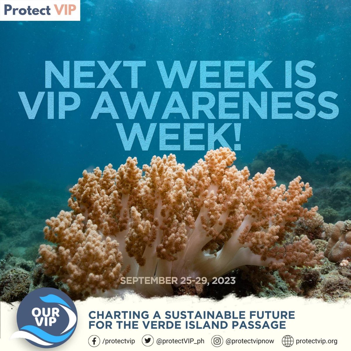 protectVIP_ph's tweet photo. Mark your calendars ποΈ Verde Island Passage Awareness Week starts next week!
Let's celebrate #OurVIP, a marine paradise that continues to bring us ecological and economic value. https://t.co/ayDEUuYVCM