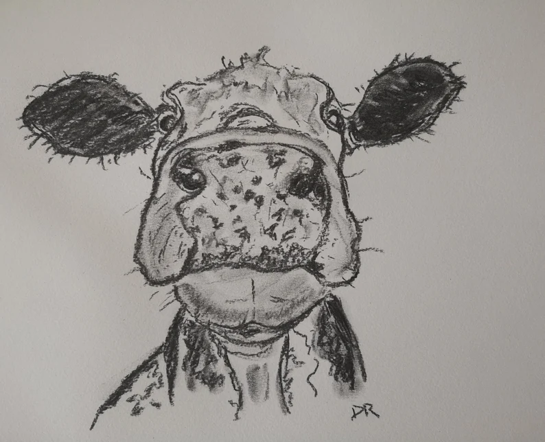 New piece just listed of a beautiful cow in charcoal. A3 size. £40 all in. #drawing #artwork #cows deborahrobinsonart.etsy.com/listing/156921…