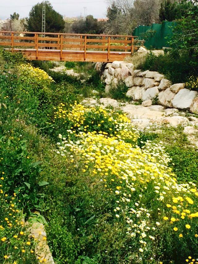 Aspe (Alicante). A menos de 500 metros del centro del pueblo, te encuentras los Senderos del Rio Tarafa (Afluente del Vinalopó)