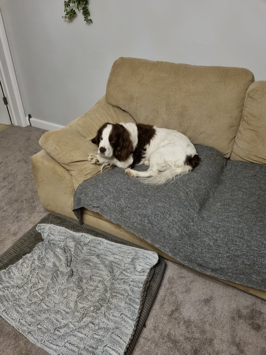 James Sutton 🇺🇦 tweet media