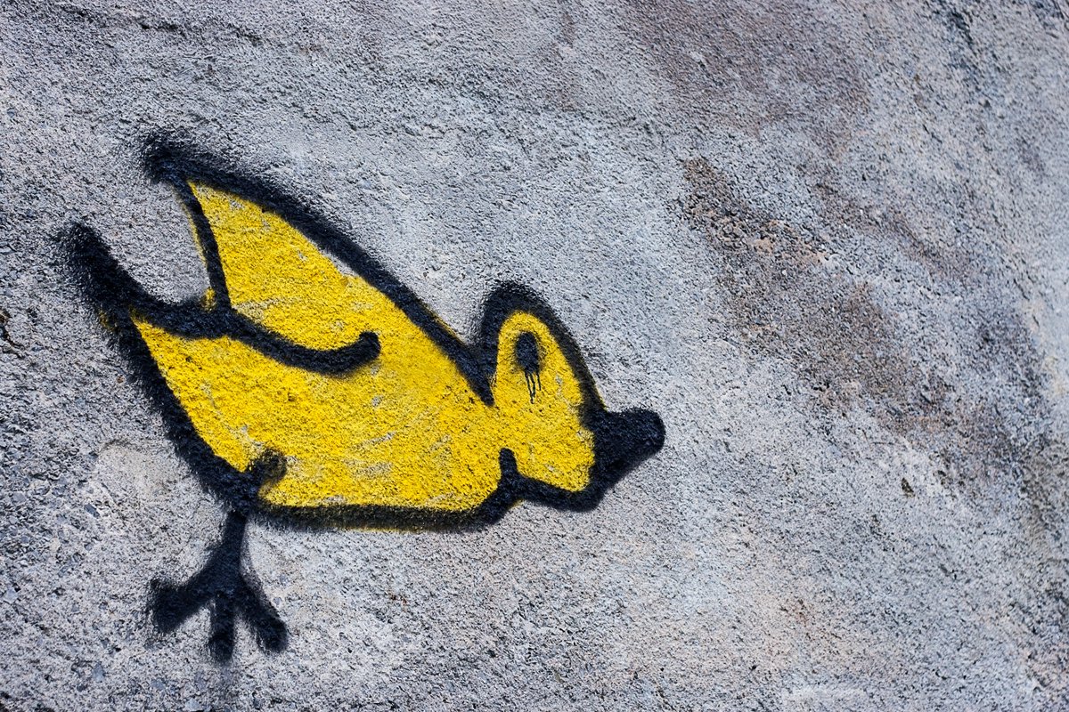 By Cathal Mac an Bheatha on unsplash.com
     
#Art