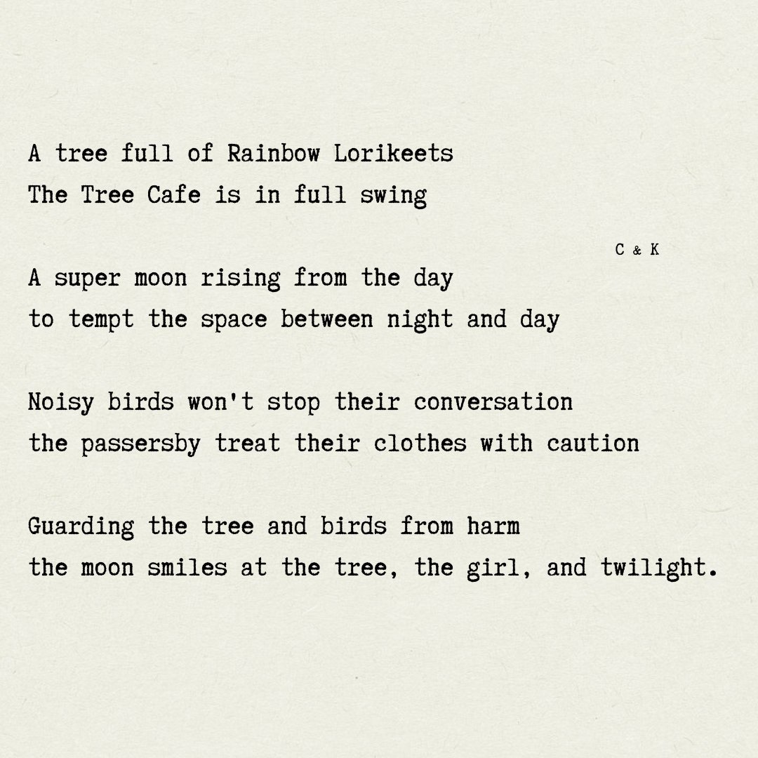 KerreeAM's tweet photo. #SenseWrds 590 Waiting Benevolent Moonrise
#moon #rainbowlorikeets #treecafe #poetry https://t.co/WUJz94SJoV