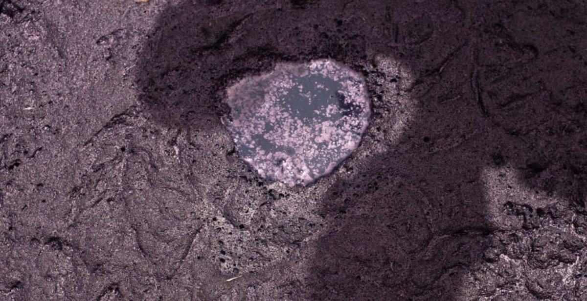 Spatial Practices (@csmspatial) on Twitter photo Launching 19.09 at 19:00
Beneath the Veil: Indigo in Northern Nigeria
Central Saint Martins - the Crossing.
Book your free ticket: eventbrite.co.uk/e/beneath-the-…
Supported by Maison/0.
In partnership with This is Us <a href="/thisisusng/">thisisusng</a>, 16/16 <a href="/16by16/">16</a>, Mitsio Motu <a href="/MitsioMotu/">Mitsio Motu</a>. Launching 19.09 at 19:00
Beneath the Veil: Indigo in Northern Nigeria
Central Saint Martins - the Crossing.
Book your free ticket: eventbrite.co.uk/e/beneath-the-…
Supported by Maison/0.
In partnership with This is Us <a href="/thisisusng/">thisisusng</a>, 16/16 <a href="/16by16/">16</a>, Mitsio Motu <a href="/MitsioMotu/">Mitsio Motu</a>.