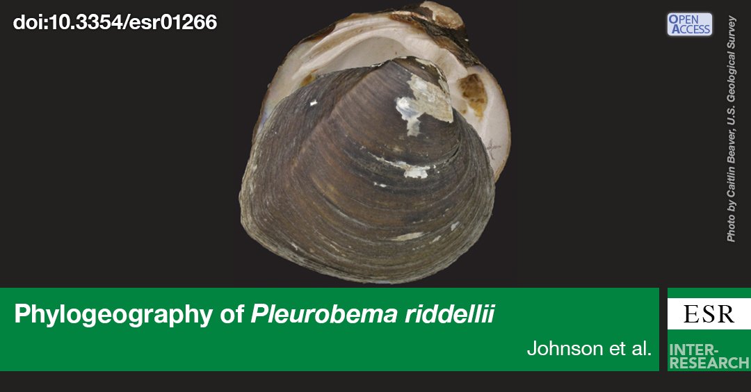 Research characterizing genetic diversity and spatiotemporal changes in distribution of Louisiana pigtoe, Pleurobema riddellii, a freshwater mussel proposed for protection as threatened under the U.S. Endangered Species Act bit.ly/esr_52_1