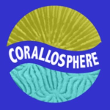 Corallosphere (taxonomic information on extant and extinct scleractinian corals) integrated into the World List of Scleractinia marinespecies.org/news.php?p=sho… and corallosphere.org #marinespecies @LifeWatchVLIZ @UNOceanDecade