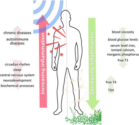 Earthing, grounding o Vitamina G.
Estar en contacto directo con la tierra es lo natural y necesario para los animales.
Hoy día, la desconexión permanente, perjudica aumentando el estrés, la inflamación o alterando los bioritmos...
¡Conéctate al mundo!
sciencedirect.com/science/articl…