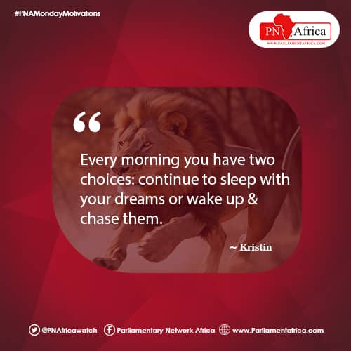 Parliamentary Network Africa tweet media